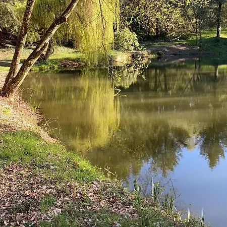 Chestnut Pool