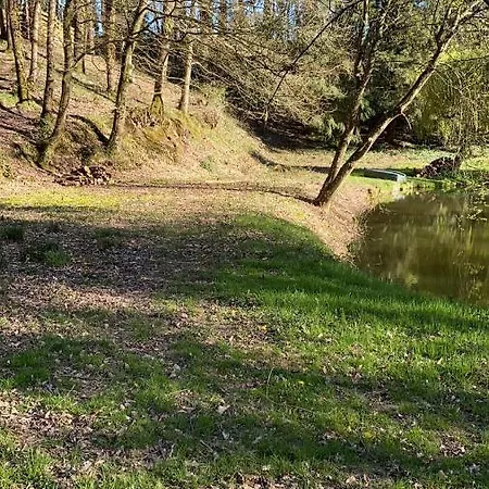 Chestnut Pool *